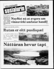 Síða 1