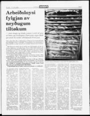 Síða 3