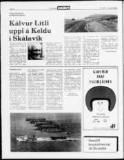 Síða 4