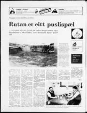 Síða 20