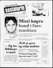 Síða 1