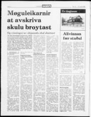 Síða 2