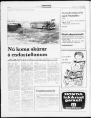 Síða 4