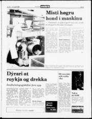 Síða 5