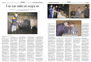 Síða 12