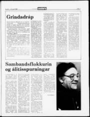 Síða 7
