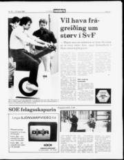 Síða 13