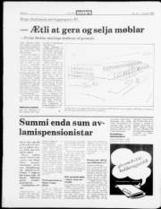 Síða 22