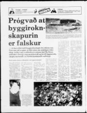 Síða 20