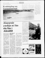 Síða 3