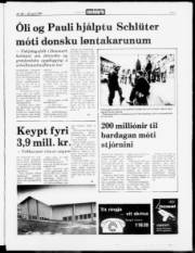 Síða 5