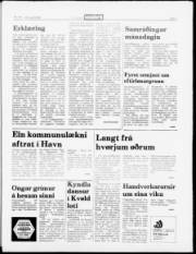 Síða 7