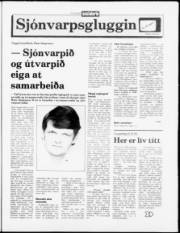 Síða 11