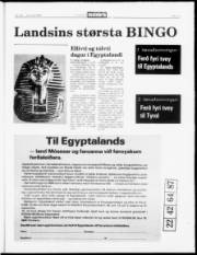 Síða 17