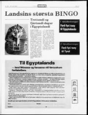 Síða 17