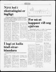 Síða 5