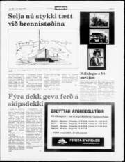 Síða 5