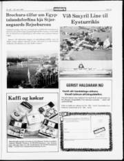 Síða 19