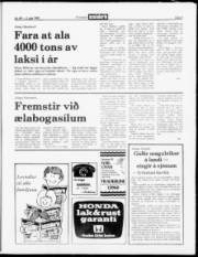 Síða 9