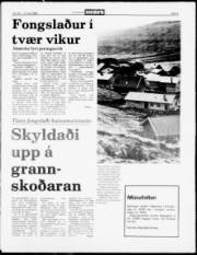 Síða 5