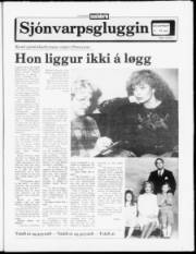 Síða 11