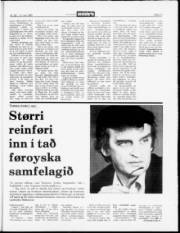 Síða 17