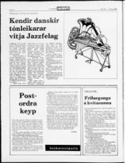 Síða 2