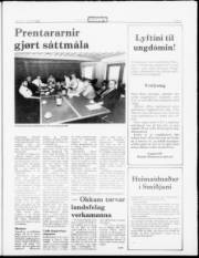 Síða 5