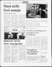 Síða 3