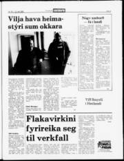 Síða 5