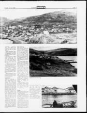 Síða 11