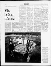 Síða 8