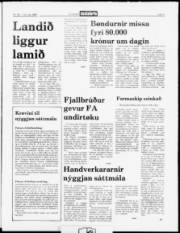 Síða 3