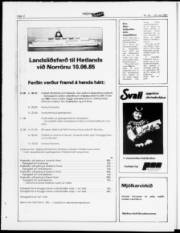 Síða 12