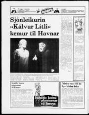 Síða 20
