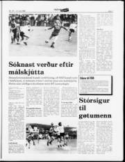 Síða 7