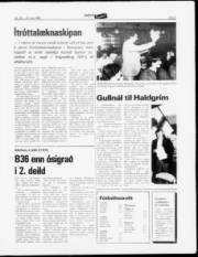 Síða 9