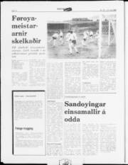 Síða 12