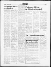 Síða 7
