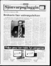 Síða 9