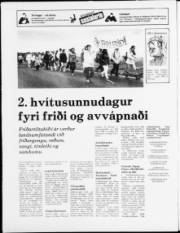 Síða 20