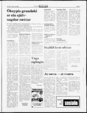Síða 7