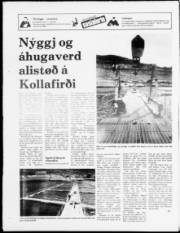 Síða 16