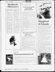 Síða 5