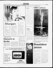 Síða 13
