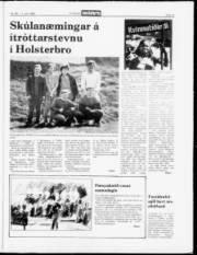 Síða 15