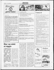 Síða 23