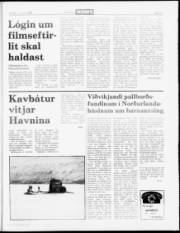 Síða 15