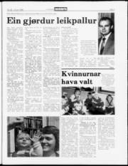 Síða 3