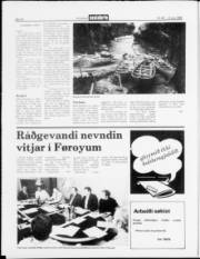 Síða 10